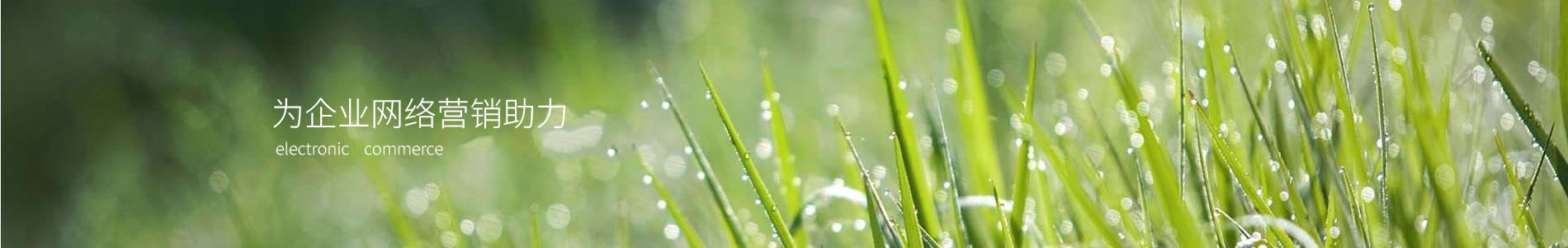 ʥҵչʾ޹˾